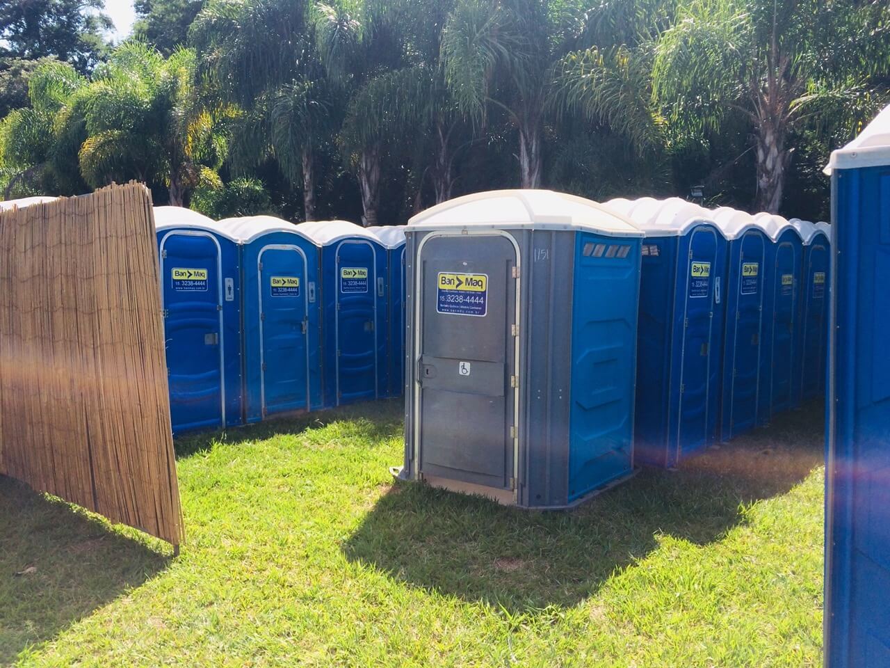 Foto 5 do case Tribe 2019